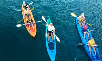 Kayak Hire In Kingscliff