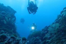 Explore the beautiful oceans of Hyeres, France in diving sessions