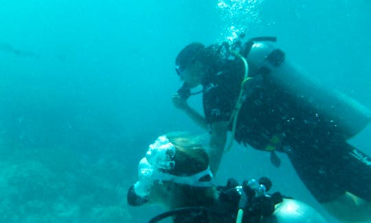 Diving Trips in Avatoru, French Polynesia