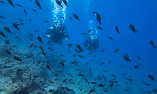Private Scuba Diving In Kos island (max. 5 divers)