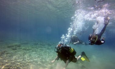 Discover Scuba Diving In Rodos