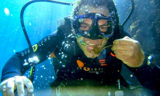 Discover Scuba Diving In Rodos