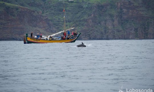 Viaje de observación de ballenas en la «Ribeira Brava»