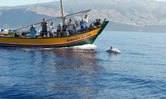 Viaje de observación de ballenas en la «Ribeira Brava»