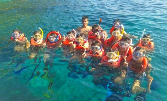 RIB Boat Diving, Snokeling & PADI Courses in Golfo Aranci