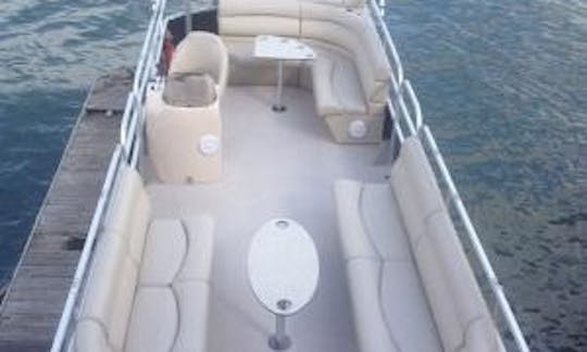 Captained Charter on 24' Pontoon in Paris, France