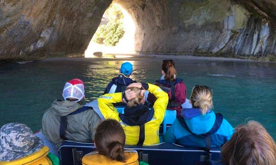 Boat Sea Cave Adventures in Coromandel