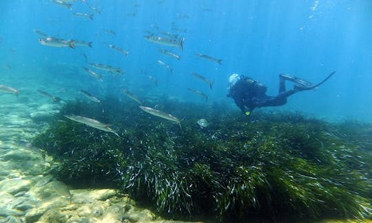 Excursions de plongée et cours PADI à Iraklio