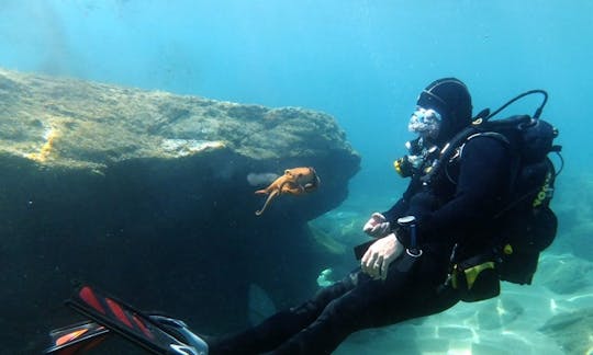 Excursions de plongée et cours PADI à Iraklio