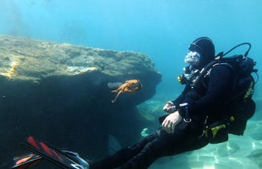 Diving Trips & PADI Courses in Iraklio