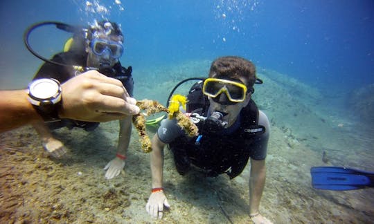 Excursions de plongée et cours PADI à Iraklio