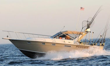 31ft Duster Cuddy Cabin Fishing Charter in Arcadia Township, Michigan