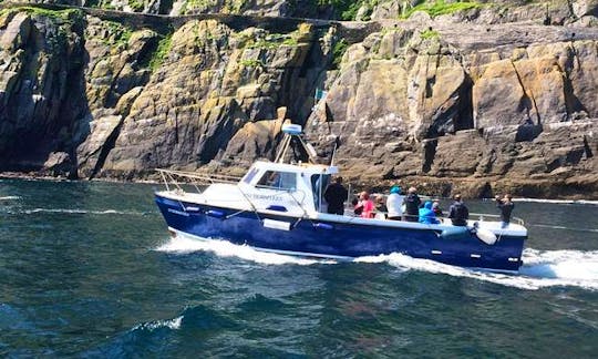 Book 'Anchorseveen' Boat Island Trips in Kerry, Ireland