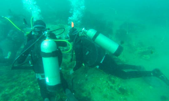 Discover Scuba Diving In Puerto Madryn