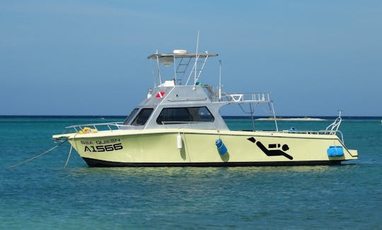 Scuba Diving Trips in Aruba