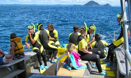 Diving Trips in Whakatane, New Zealand