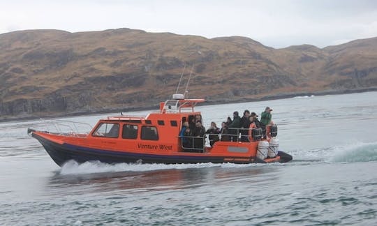 39' RIB Trips in Tayvallich, United Kingdom