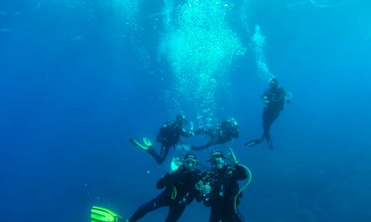 Diving and Snorkeling In Bonifacio