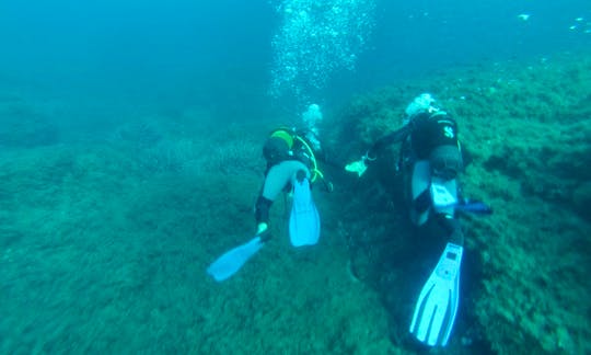 Diving and Snorkeling In Bonifacio