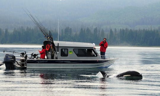 Surf Charter in Hoonah, Alaska