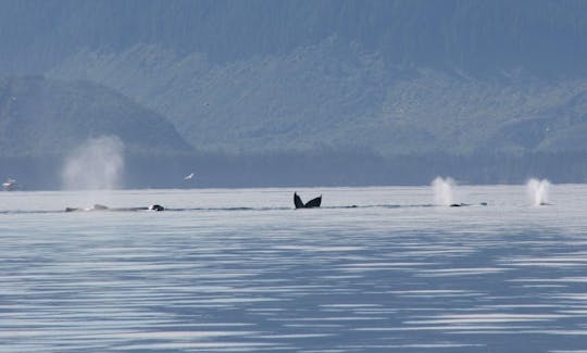 Surf Charter in Hoonah, Alaska