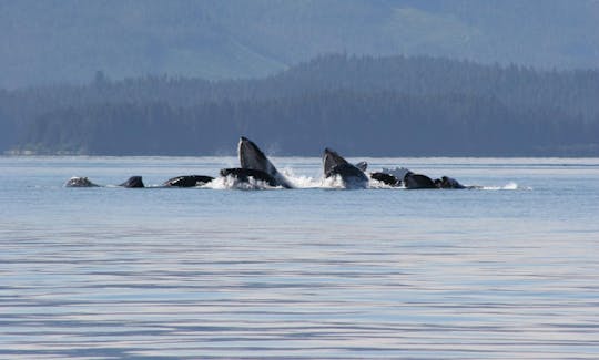 Surf Charter in Hoonah, Alaska