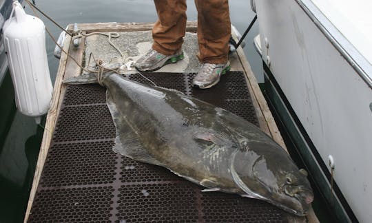 Surf Charter in Hoonah, Alaska