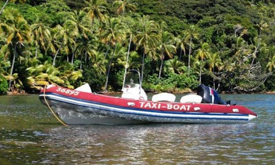 RIB Trips in Noumea, New Caledonia