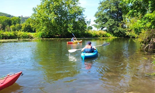 Single Kayak Rental In Hofheim 