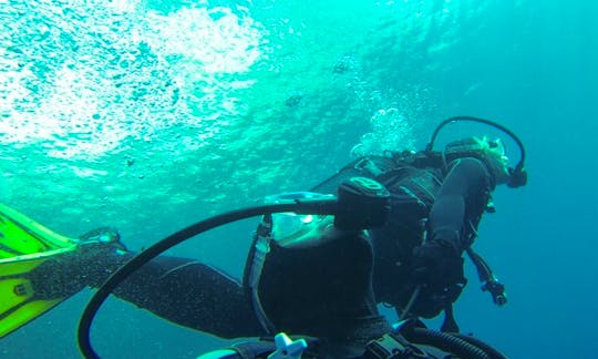 Scuba Diving In Cassis