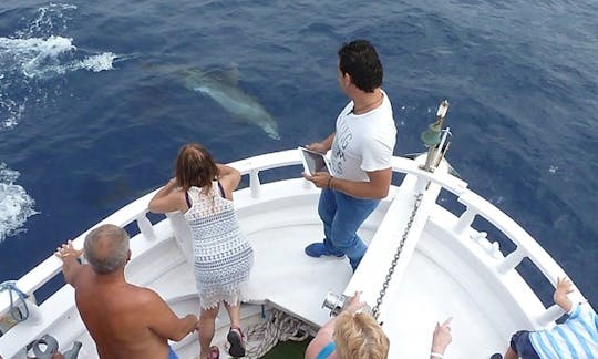 Boat Trips In Iraklio