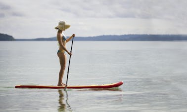 Alquiler de tablas de surf de remo en Rovinj, Croacia