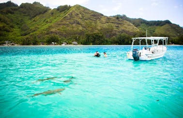 Boat Ocean Wildlife Tours in French Polynesia