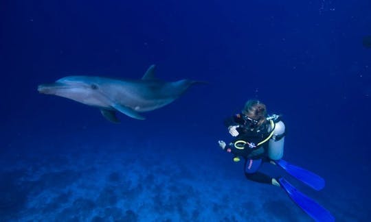 RIB Diving Trips in Avatoru, French Polynesia