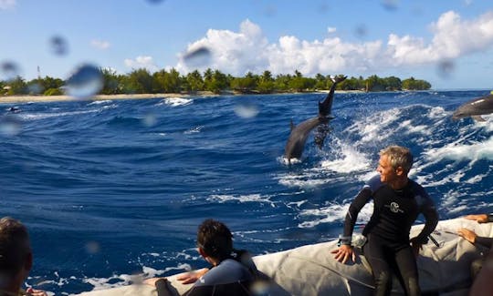 Viagens de mergulho RIB em Avatoru, Polinésia Francesa