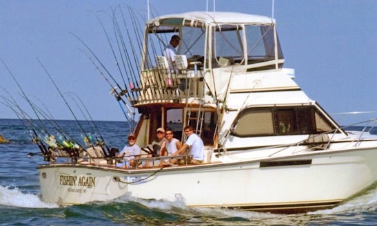 Lake Michigan Fishing Charter On 38ft