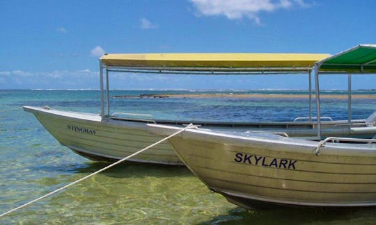 Stingray Diving Boat  in Fiji