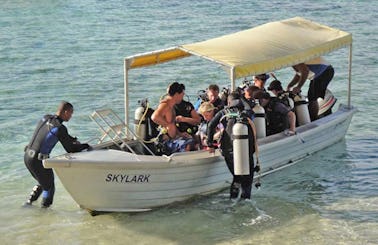 Stingray Diving Boat  in Fiji