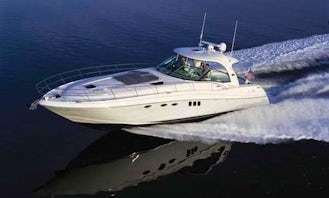 Searay Sundancer - Explore South Florida by Boat