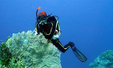 Boat Diving Trips & PADI Courses in Novosibirsk