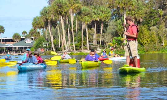 Kayak Guided Tours in Silver Springs