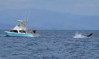 Have an Amazing Fishing Time with the 31' Sport Fisherman Charter in Veraguas, Panama