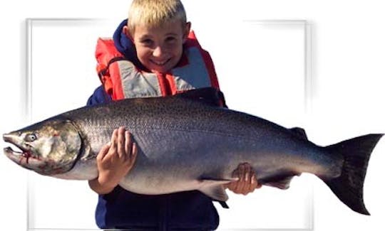 28ft Cuddy Cabin ''Salmon Tracker II'' Fishing Charter in Sherburne, New York