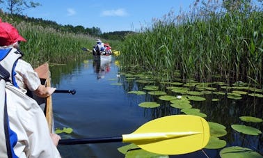 Canoe Rental In Kratzeburg