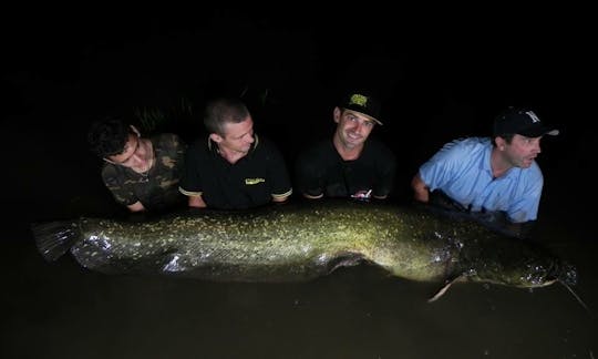 Trips fishing boat Big Catfish in the rivers in France