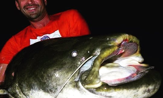 Trips fishing boat Big Catfish in the rivers in France