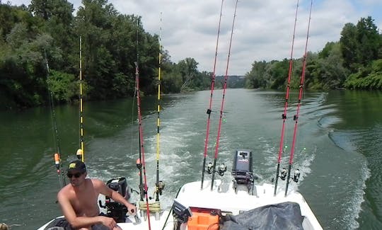 Trips fishing boat Big Catfish in the rivers in France