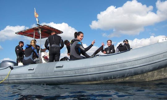 Excursions de plongée sous-marine et plongée avec tuba à Madrid