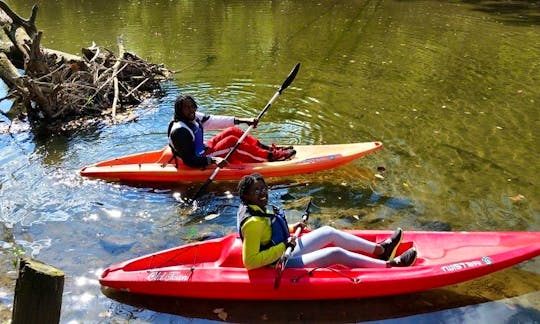 Single Kayak Rental in Spring Valley Township