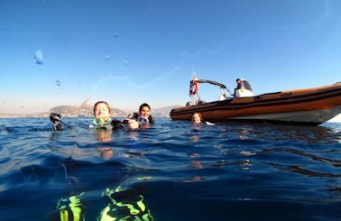 Boat Diving Trips & PADI Courses in Anatoliki Attiki